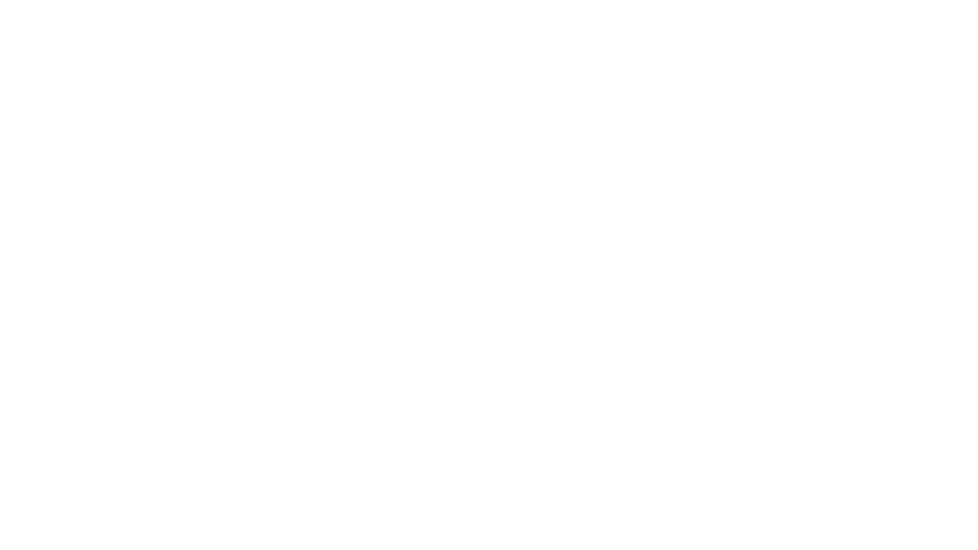 PORSCHE Logo