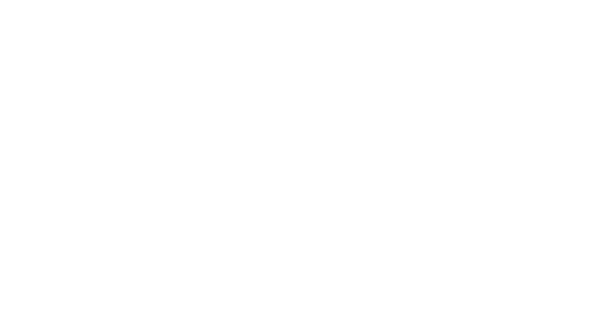 SPORTFREUNDE SIEGEN Logo